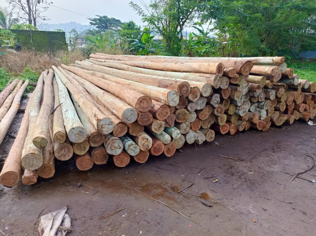 a64bc006 3b8e 4cb5 9105 edd589c1cd09